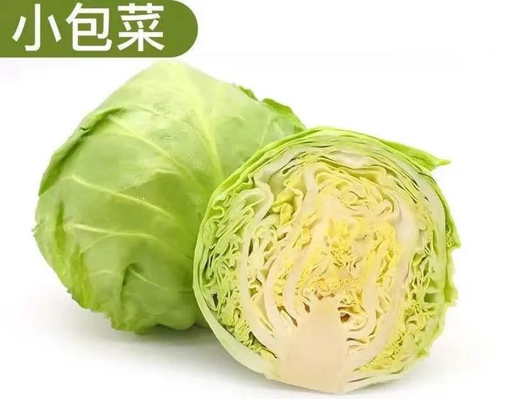 新鲜小包菜(新增)