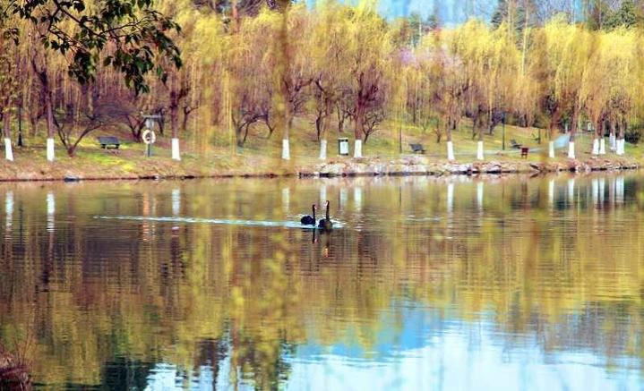 浙江农林大学:春暖花开 校园风景独好