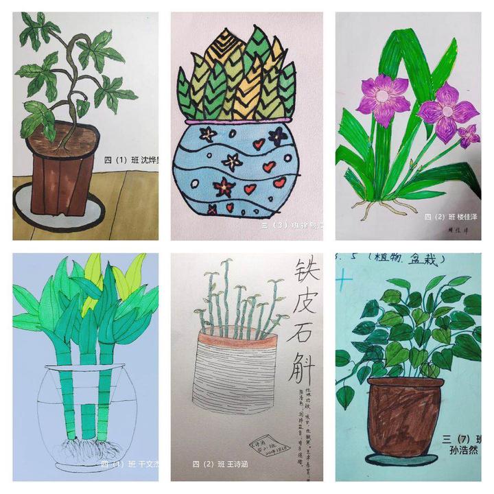 植树节画画家中绿植共植美好希望