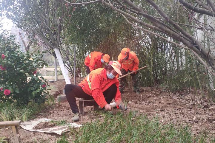 为城市"梳妆" 园林工人绿化养护忙