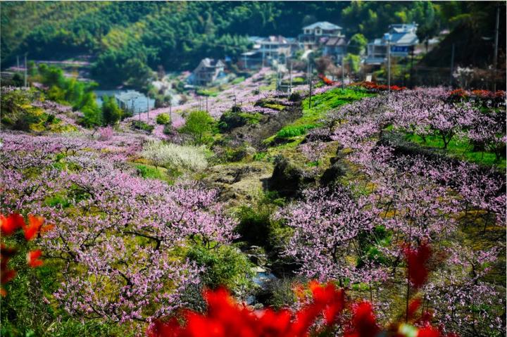 招生专业三大变化 国家专项和高校专项招生500人