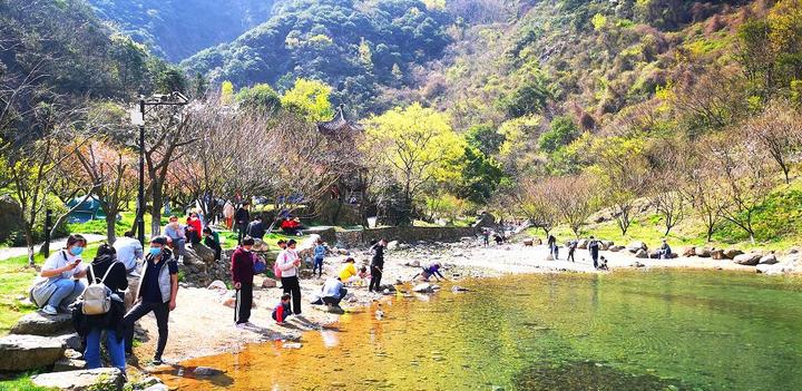 九峰山,踏青赏花正当时!