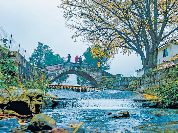 义乌大陈镇红峰村:一年一遇的最美期待