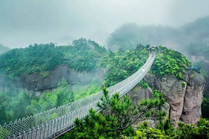 神仙居景区面向!
