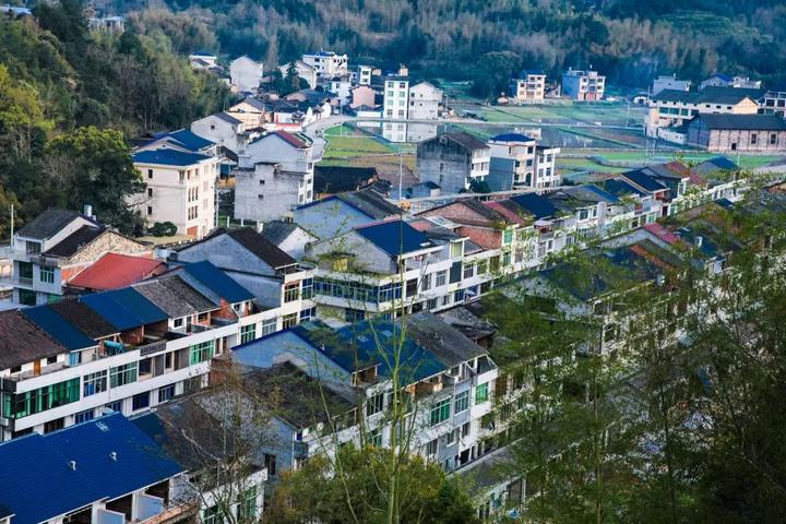 筱村长垟好风景只待君来赏