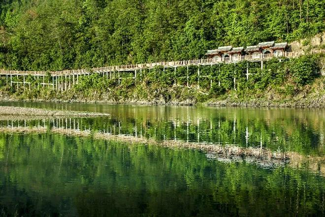 春天里的仙居绿道仙居八大碗粉墙黛瓦映衬下的仙居油菜花田永安溪畔