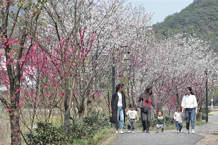 成都全搜索景区梨花又开啦新津梨花溪景区有序开放