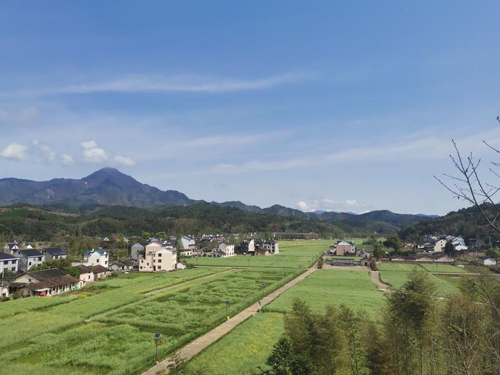 龙泉小梅镇黄南村田野风光.