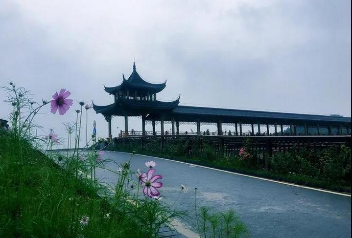 琅琊镇琅琊徐村