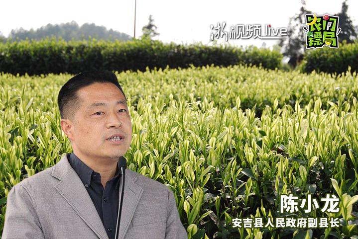 安吉县副县长陈小龙将走进直播间,化身网红主播为家乡好货代言,给粉丝