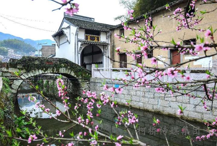 近日,王坛镇上王村歌《上王传奇》获得了唱响新农村绍兴市首届村歌