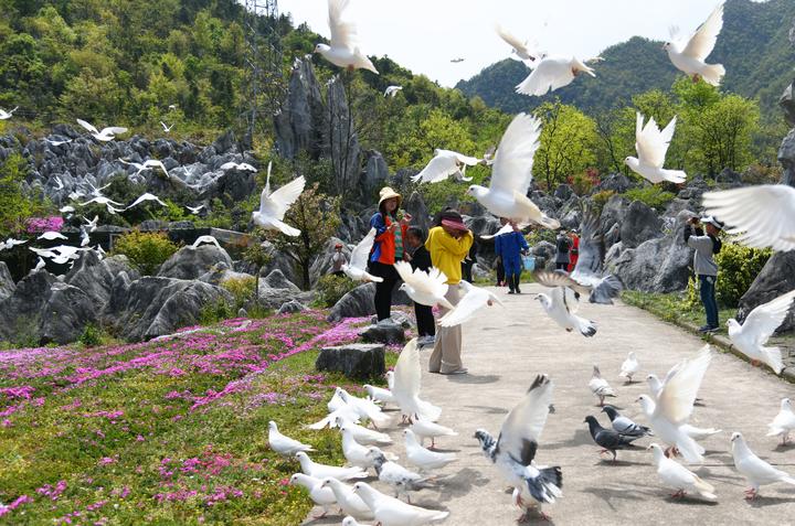 淳安:千岛湖石林景区迎来春日暖阳