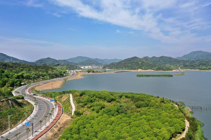 上虞 皂李湖景区环湖路绿化升级