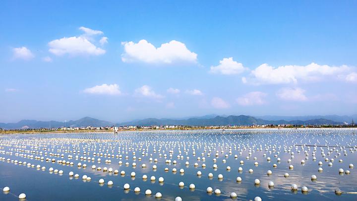 河蚌住在别墅西施故里珍珠养殖的美丽转身