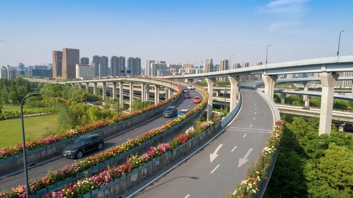 其中,彩虹快速路在2019年度杭州市"双最"评比中,荣获"最佳高架绿化"