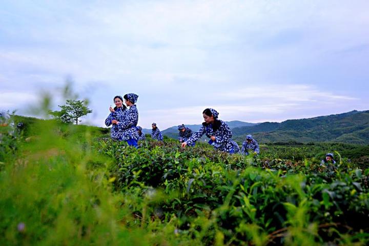 诸暨十里坪村:十里春风因何起