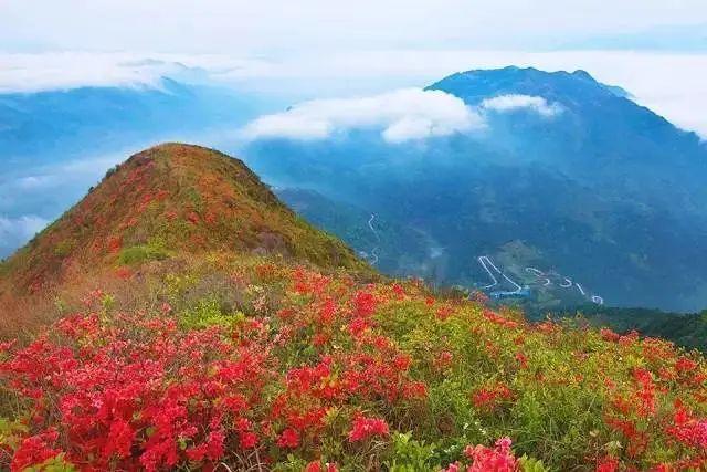 5月19日瑞安这些景区景点免费开放