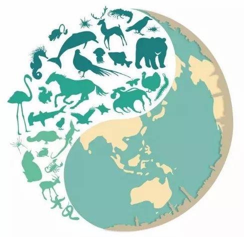 国际生物多样性日 | 保护生物多样性,我们一起行动