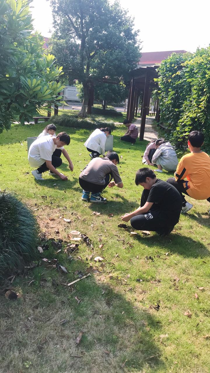 体验劳动乐趣扮靓校园颜值驿亭镇中组织学生义务劳动