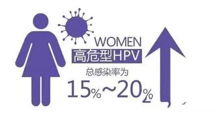 秀洲疾控中心首轮100支九价hpv疫苗