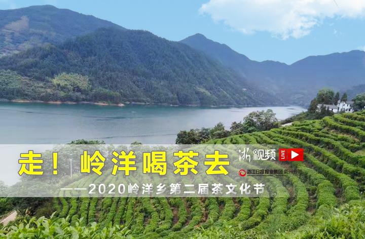 直播回放2020岭洋乡第二届茶文化节赴一场茶的盛宴