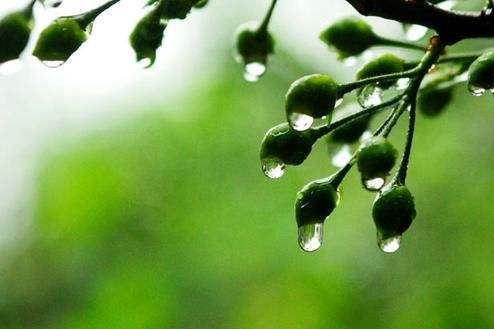 梅雨天 开车出行要当心