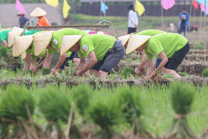 6月5日,德清县举办乡村耕耘节,村民们赛农耕,学农技,传承农耕文明和