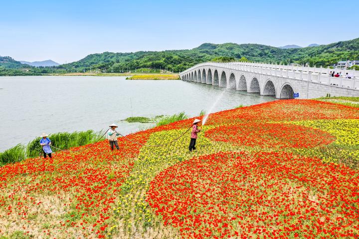 彩绘乡村美点睛旅游业丨梁湖街道皂李湖村一湖清澈浸染美丽乡村