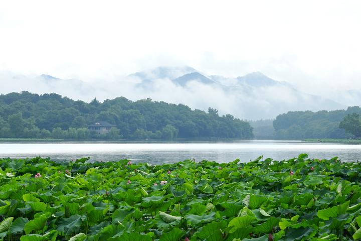 杭州雨后西湖云雾飘渺