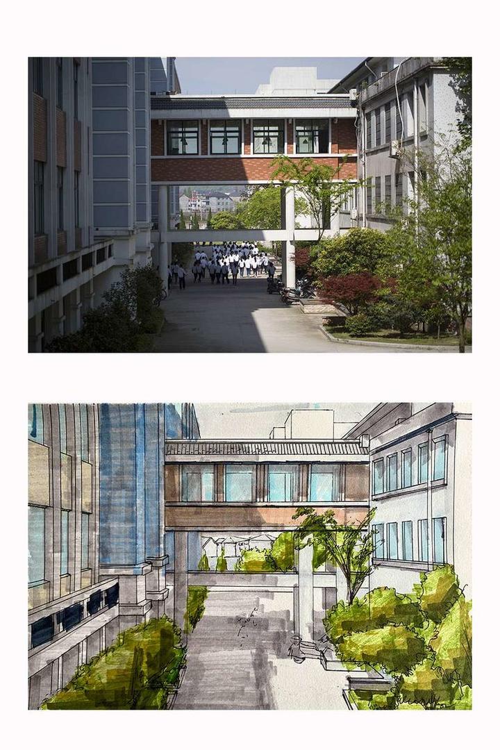 校园巡礼 | 衢州高级中学:对美的热爱是我们内心共同