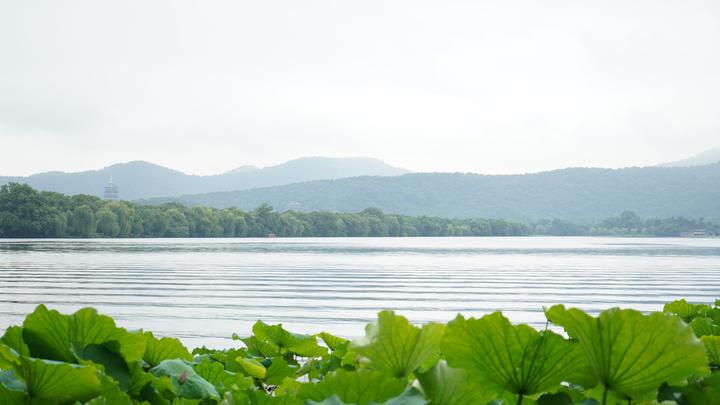 老照片里的西湖景致如今是何模样 跟着镜头来探寻