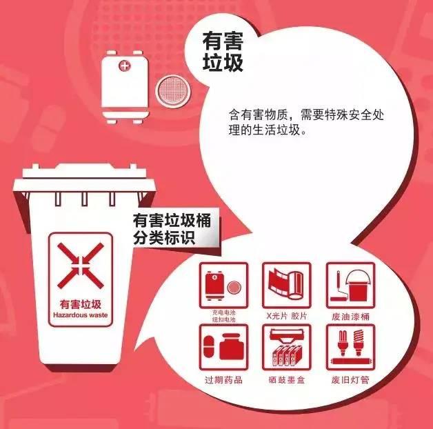 还在靠猪判断垃圾分类?这份进阶攻略帮你轻松搞定!
