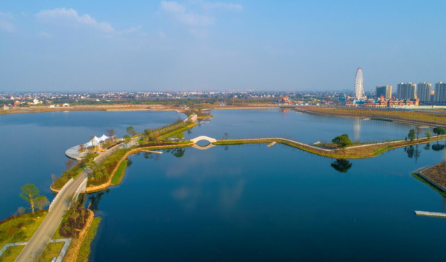 一个湖泊的蝶变秀洲油车港镇筑梦天鹅湖引来白天鹅