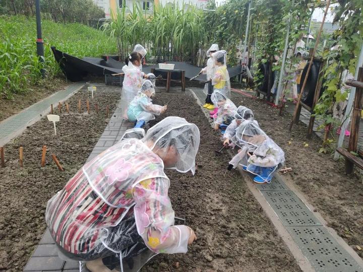 全区幼儿园组织小农场建设专项活动