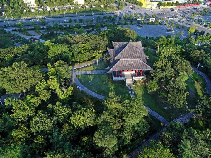 刚过去的国庆假期,位于宁波鄞州区姜山镇的狮山公园南侧,一大片向日葵