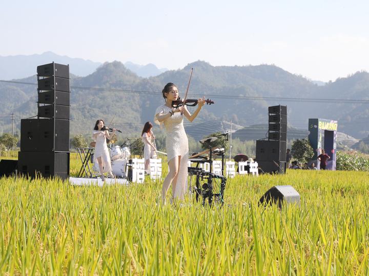 当天,桐庐县百江镇举办稻香田园音乐节,音乐节舞台选址稻田中,将舞台