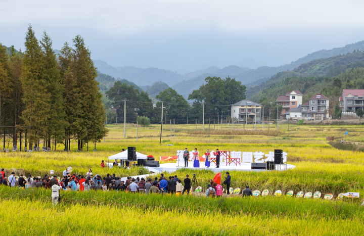 来自全国各地的众多艺术家以稻田为舞台,以大地为剧本,谱写丰收之歌