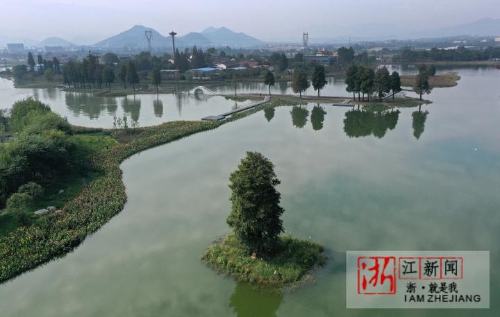 富阳阳陂湖 重现古湿地