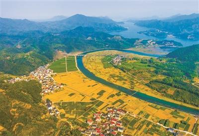 淳安大墅镇大坞村秋染田园诗画美景