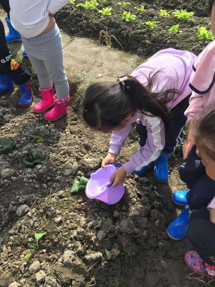 把课堂"搬到"小农场 永和镇幼儿园引导孩子们快乐种植