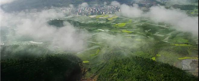 丽水市莲都区碧湖镇