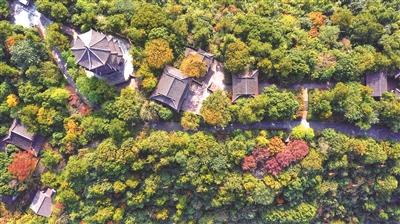 临平山绿道荣获第四届浙江最美绿道