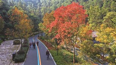 临平山绿道荣获第四届"浙江最美绿道"