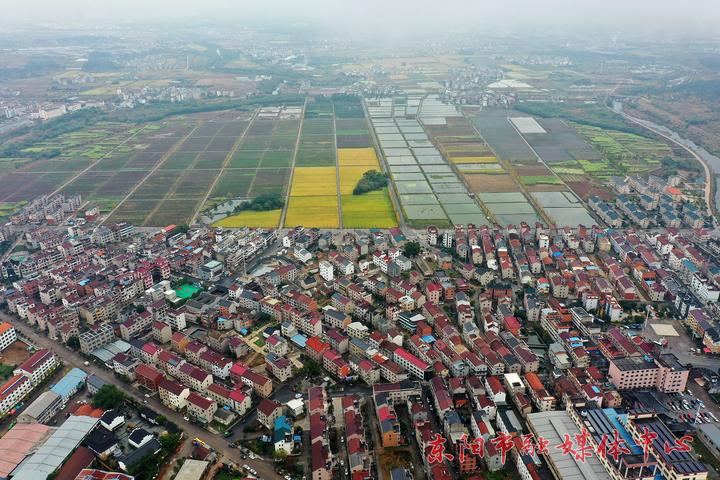 11月24日,航拍镜头下的东阳市城东街道寀卢村秋色绚烂.