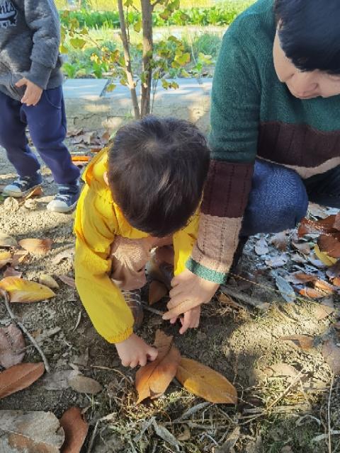 "神秘的洞洞"主题活动助力孩子探寻大自然