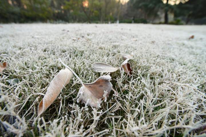 杭州:冬至西湖 初霜似雪