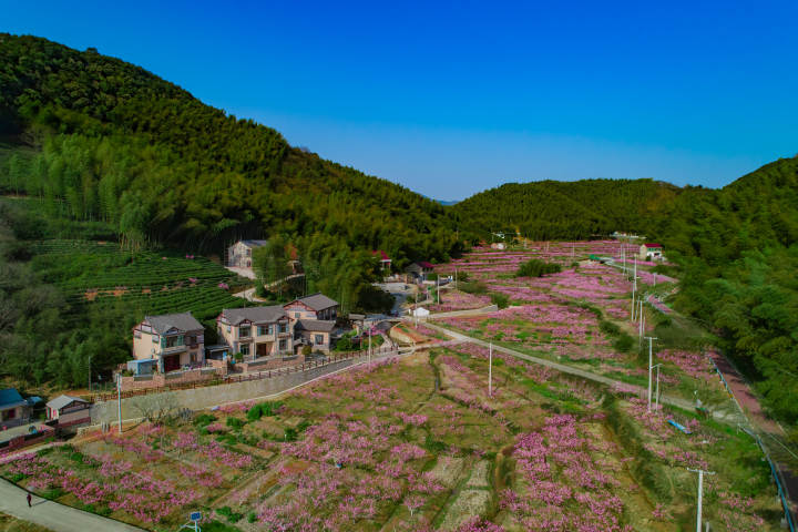 描绘现代版富春山居图丁宅乡以一溪两岸为轴加快文旅融合步伐