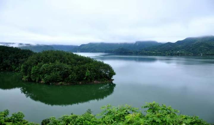 天台:近15万尾鱼种入驻里石门水库