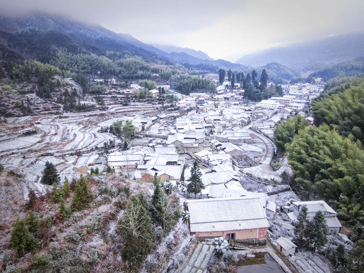 龙泉龙南乡白雪恺恺冰锥满枝头