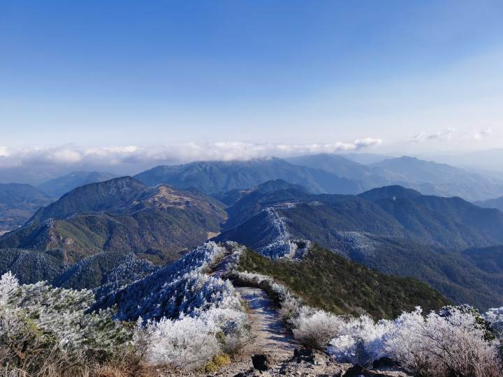 泰顺乌岩岭景区现雾凇景观